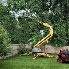 Best Tree Risk Assessment  in Bedminster, NJ