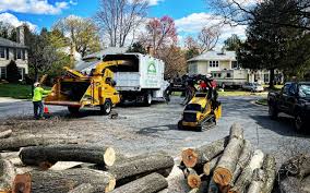 Best Lawn Irrigation Installation and Maintenance  in Bedminster, NJ